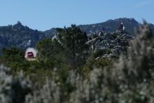 <span style="background:#000000; color:white; padding: 0 2px">WRC</span> Italija: 2-oji diena