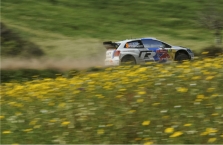 <span style="background:#000000; color:white; padding: 0 2px">WRC</span> 2014 m. WRC dalyviai varžysis Lietuvoje