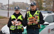 Rudenį tyko dažnesnis pavojus kelyje susidurti su laukiniu gyvūnu