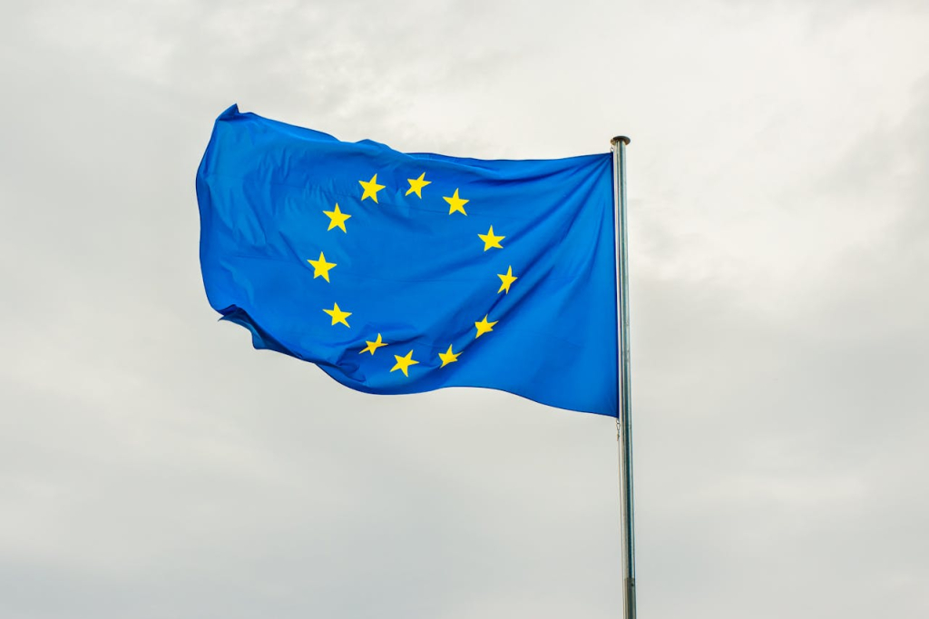 Kuris automobilis taps 2024 m. perkamiausiu Europoje?